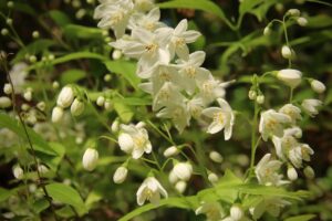 ビジネス英語を学ぶためのオンライン講座はどこで受講できる？