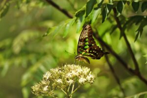 督促の英文メールの効果的な例文は？