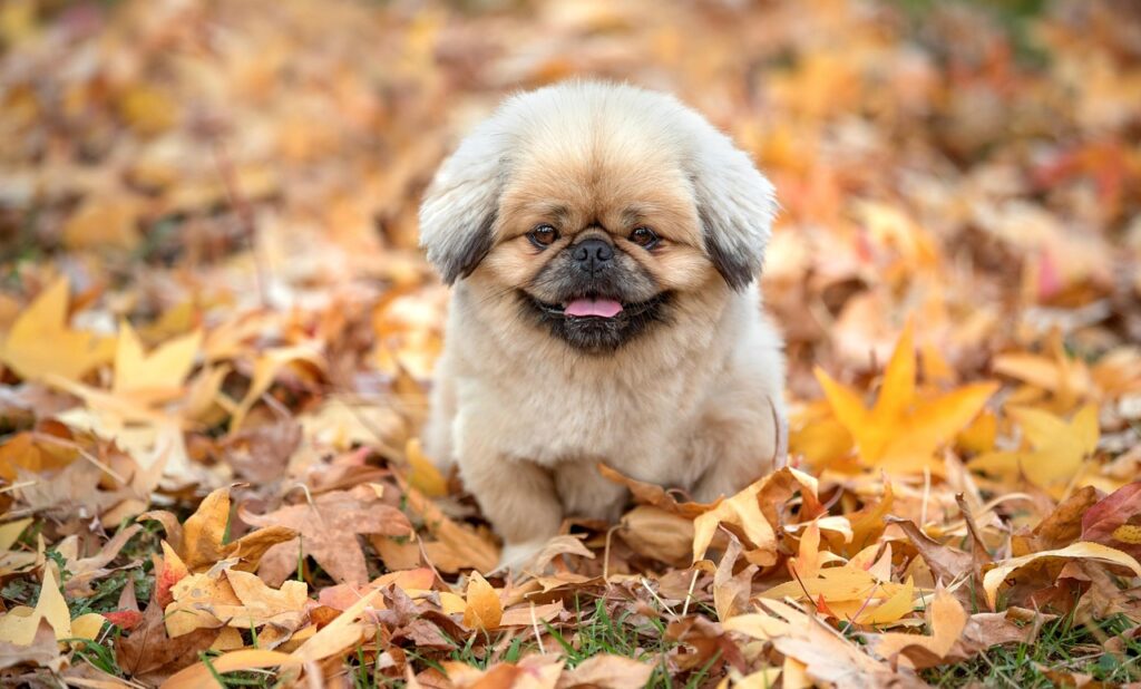 英文メールの結びの書き方で注意すべきポイントは？