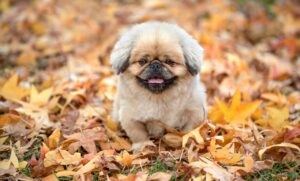 英文メールの結びの書き方で注意すべきポイントは？