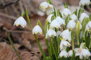 英文メールの結びの書き方にはどんなポイントがある？