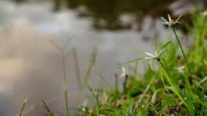 英語スキルを活かした効果的な自己PRの方法は？