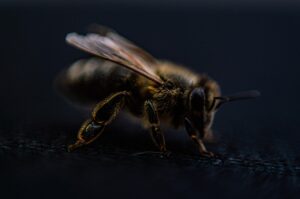 短期集中英語講座の効果的な学習方法とは？